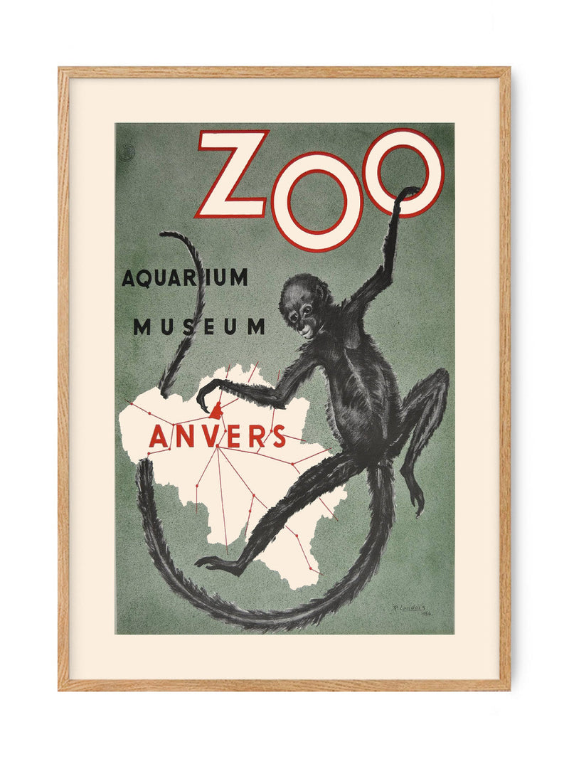 Vintage Zoo - Anvers poster