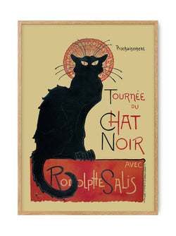 Chat Noir - Black Cat