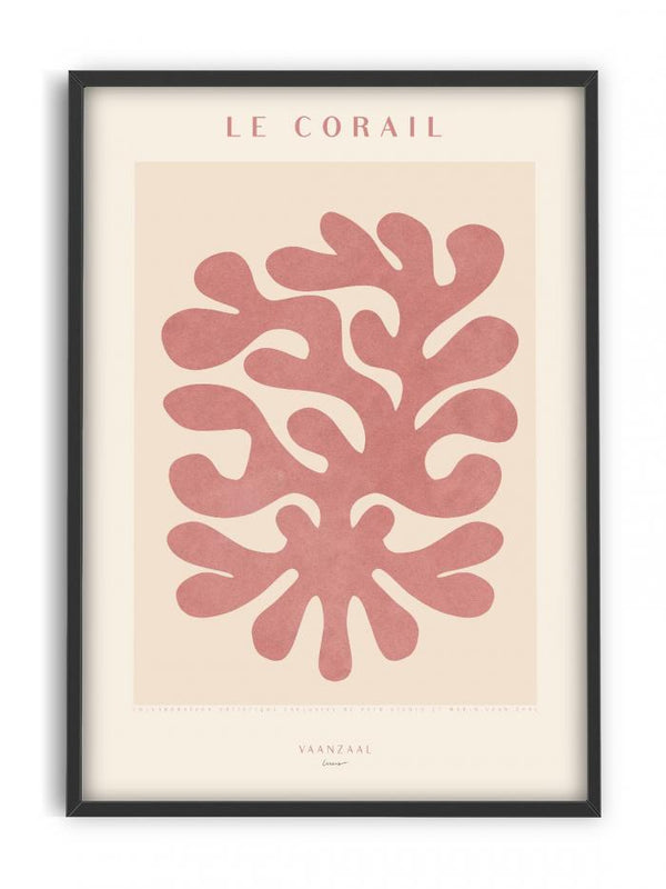 Marin - Le Corail II