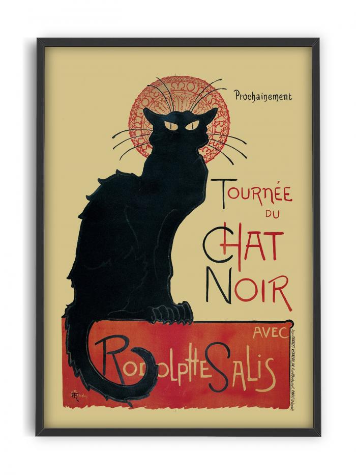 Chat Noir - Black Cat