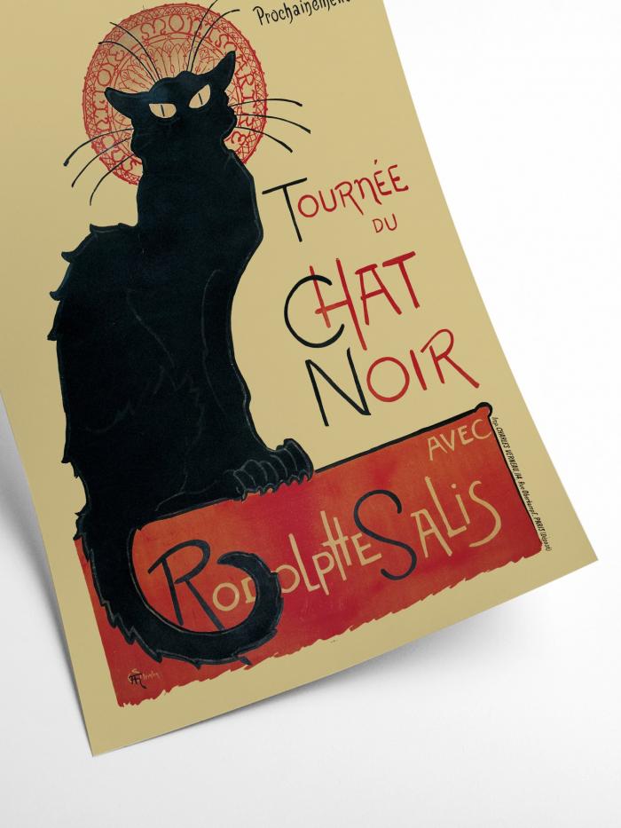 Chat Noir - Black Cat